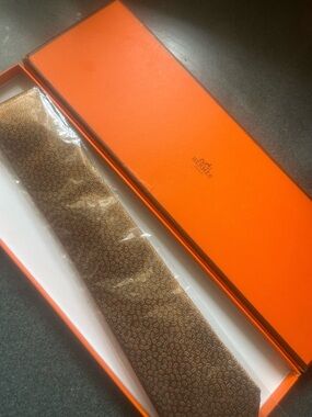 Hermes style burnt orange 🍊  Men’s Tie